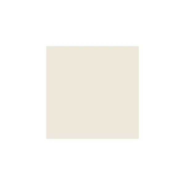 Antique White Paint Sample