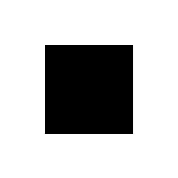 Black Paint Sample