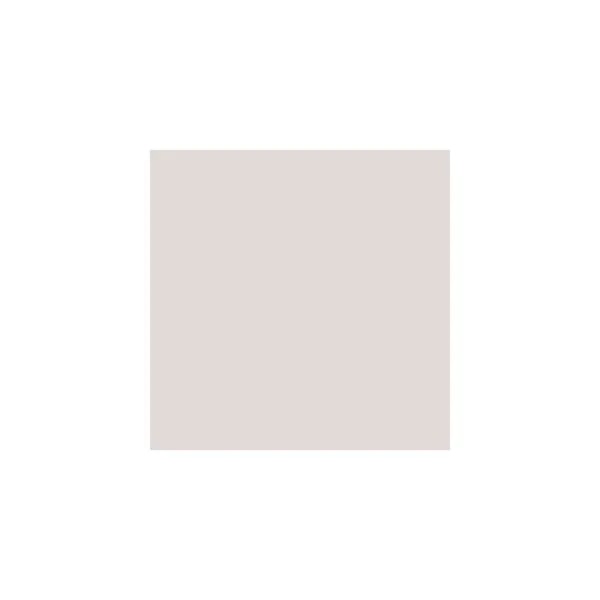 Light Gray Paint Sample