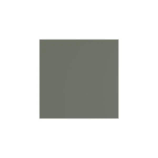 Dark Sage Paint Sample