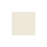 Antique White Paint Sample