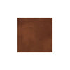 Chocolate Stain Sample