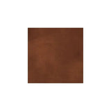 Chocolate Stain Sample