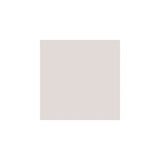 Light Gray Paint Sample