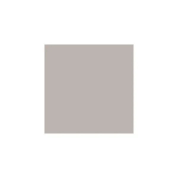 Gray Paint Sample