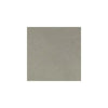 Greige Stain Sample