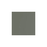 Dark Sage Paint Sample